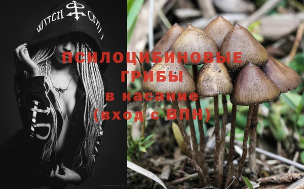 винт Мегион