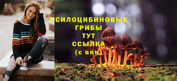 твердый Гусь-Хрустальный