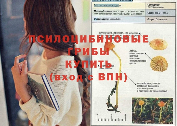 ГАЛЛЮЦИНОГЕННЫЕ ГРИБЫ Бородино