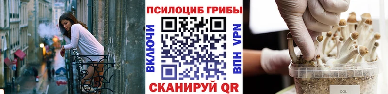 Псилоцибиновые грибы GOLDEN TEACHER  MEGA   Дивногорск 